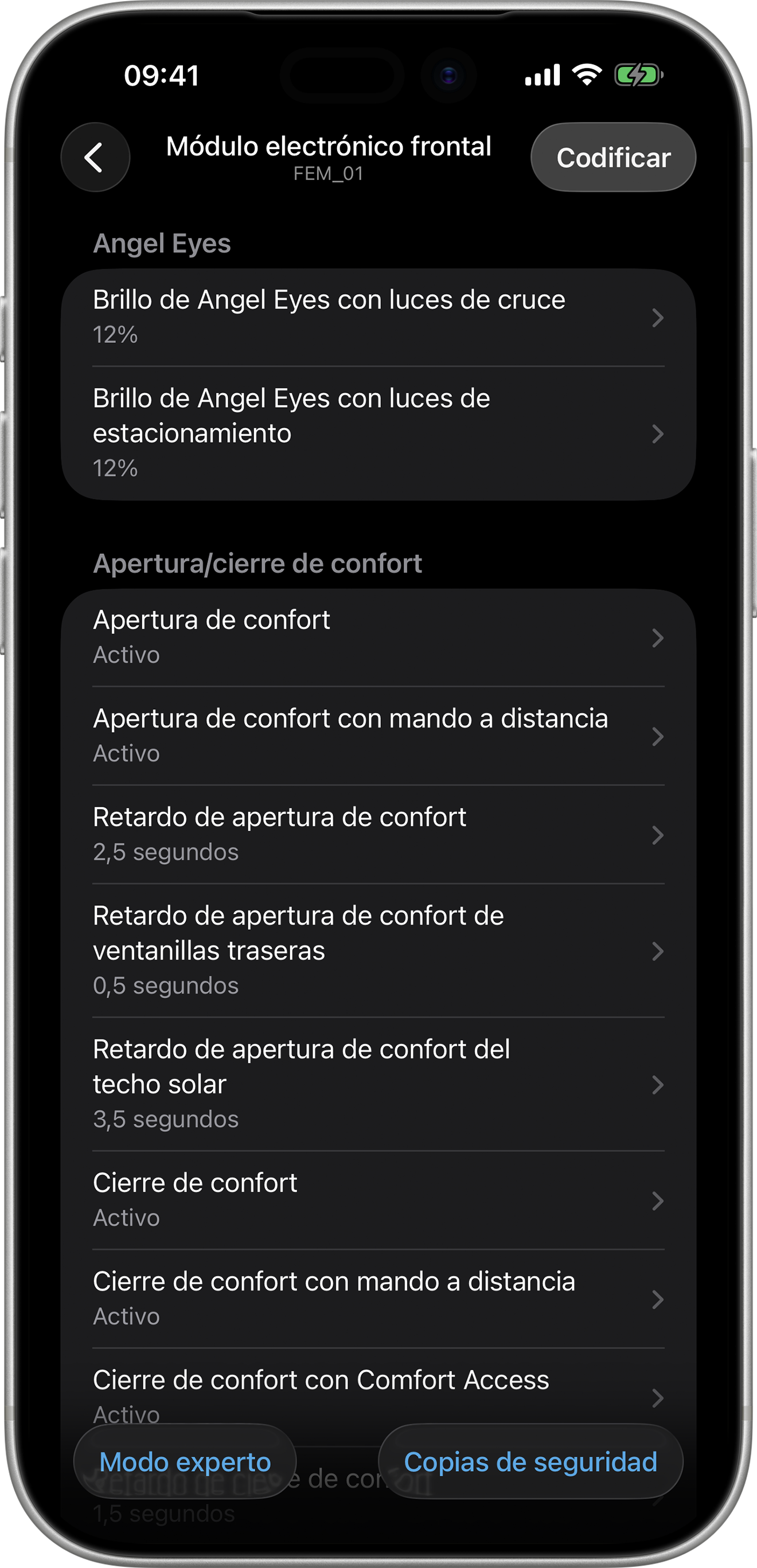 BimmerCode Screenshot Front Electronic Module Screen