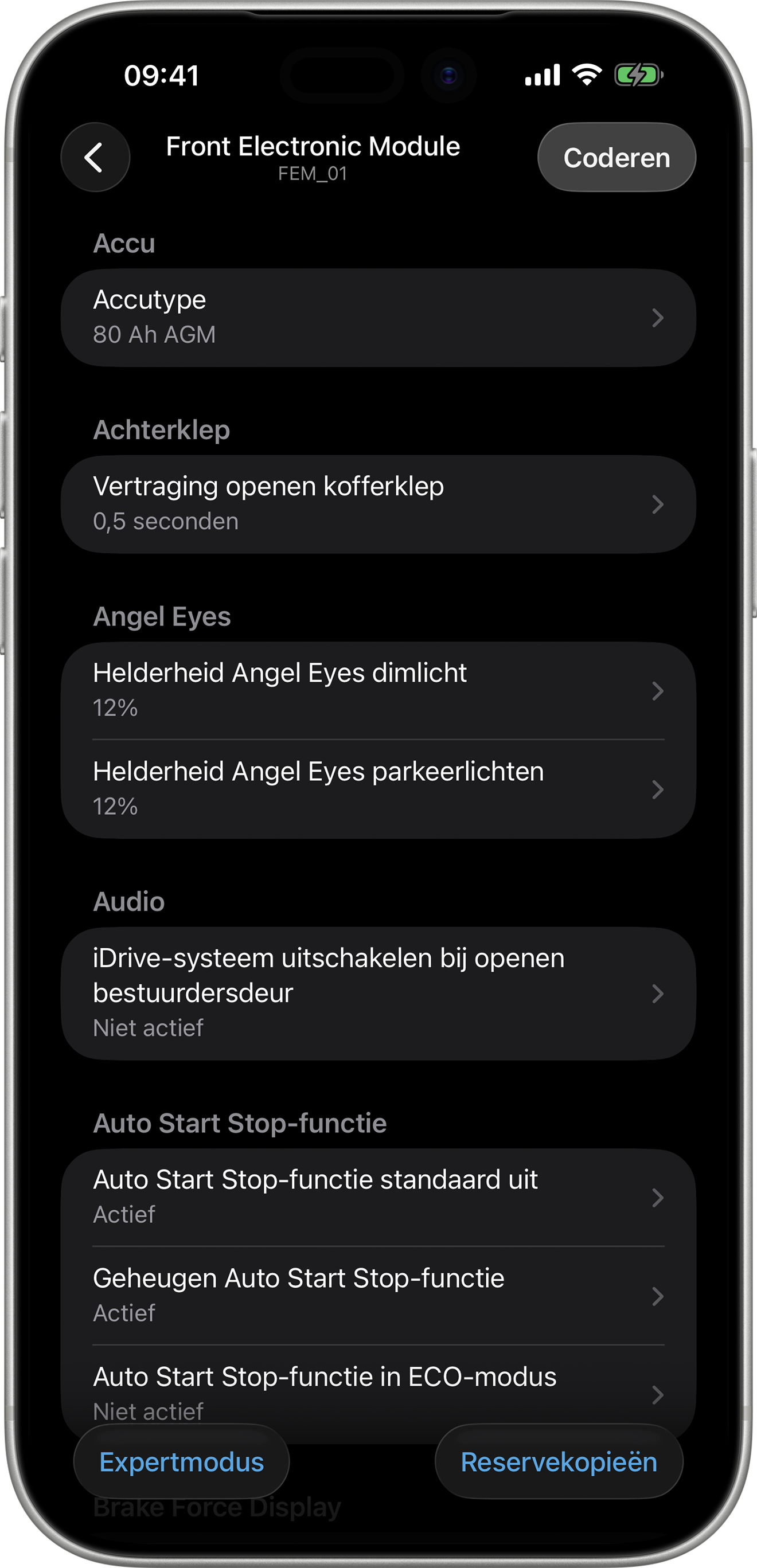 BimmerCode Screenshot Front Electronic Module Screen