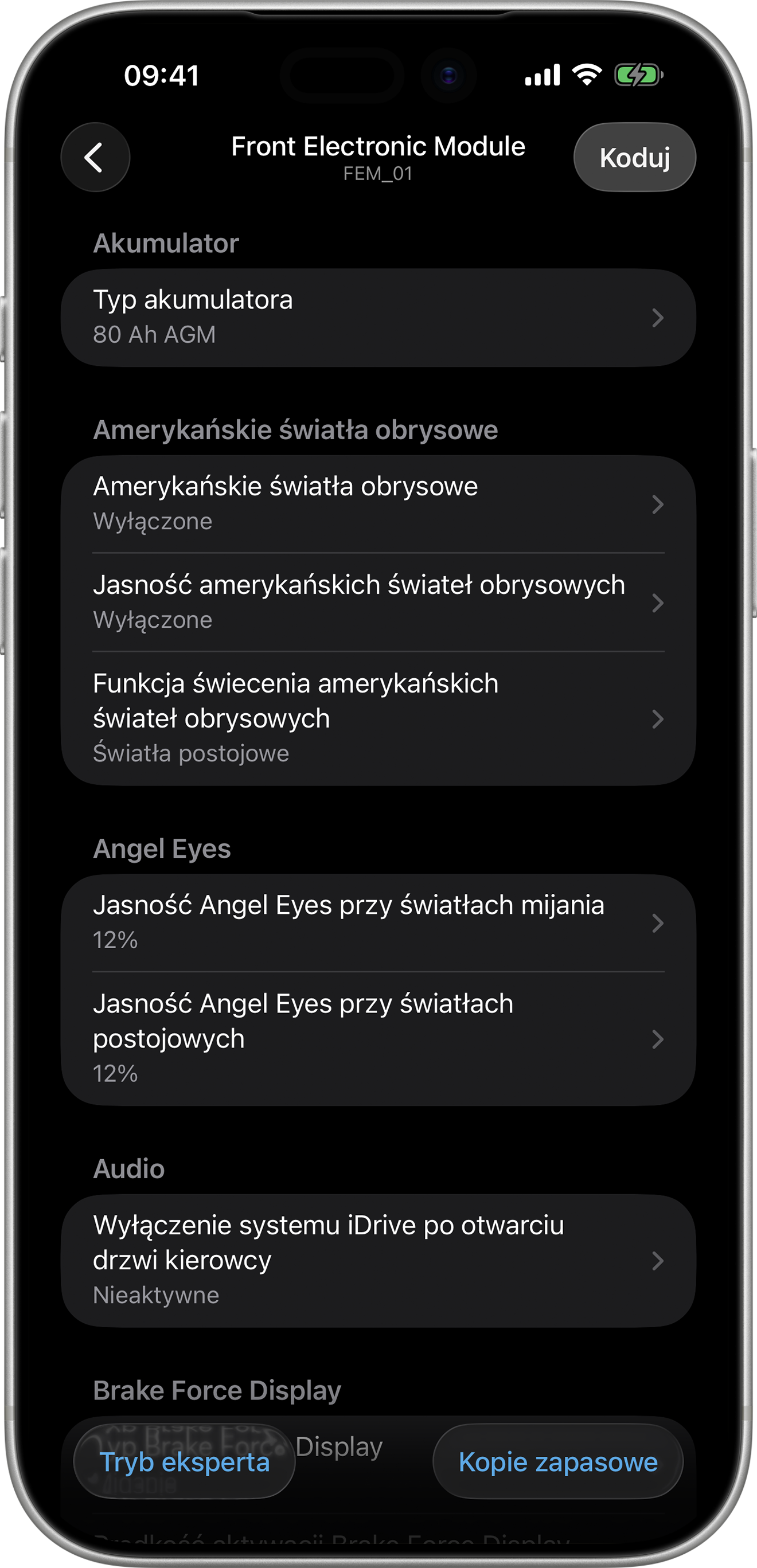BimmerCode Screenshot Front Electronic Module Screen