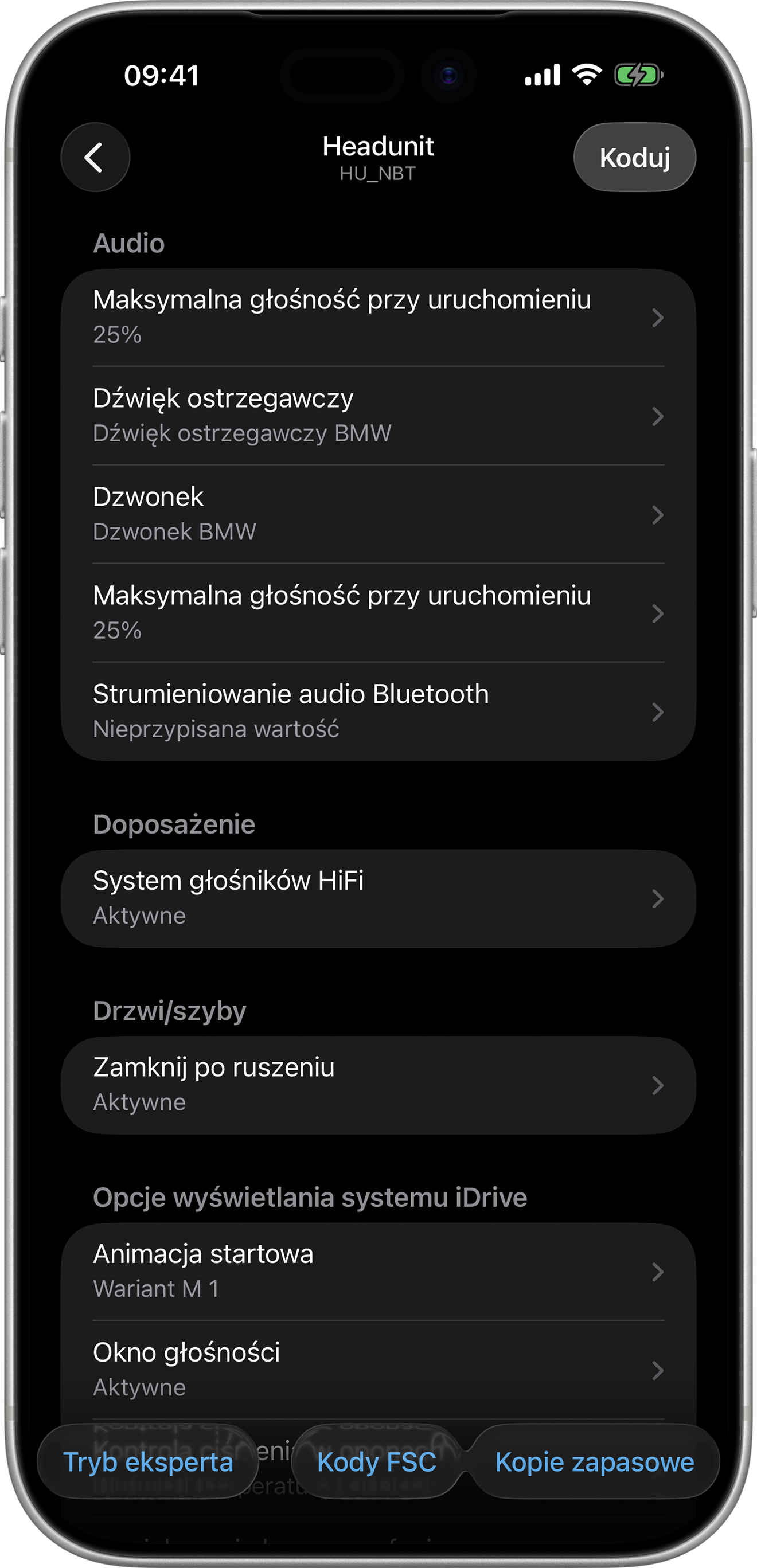BimmerCode Screenshot Head Unit Screen