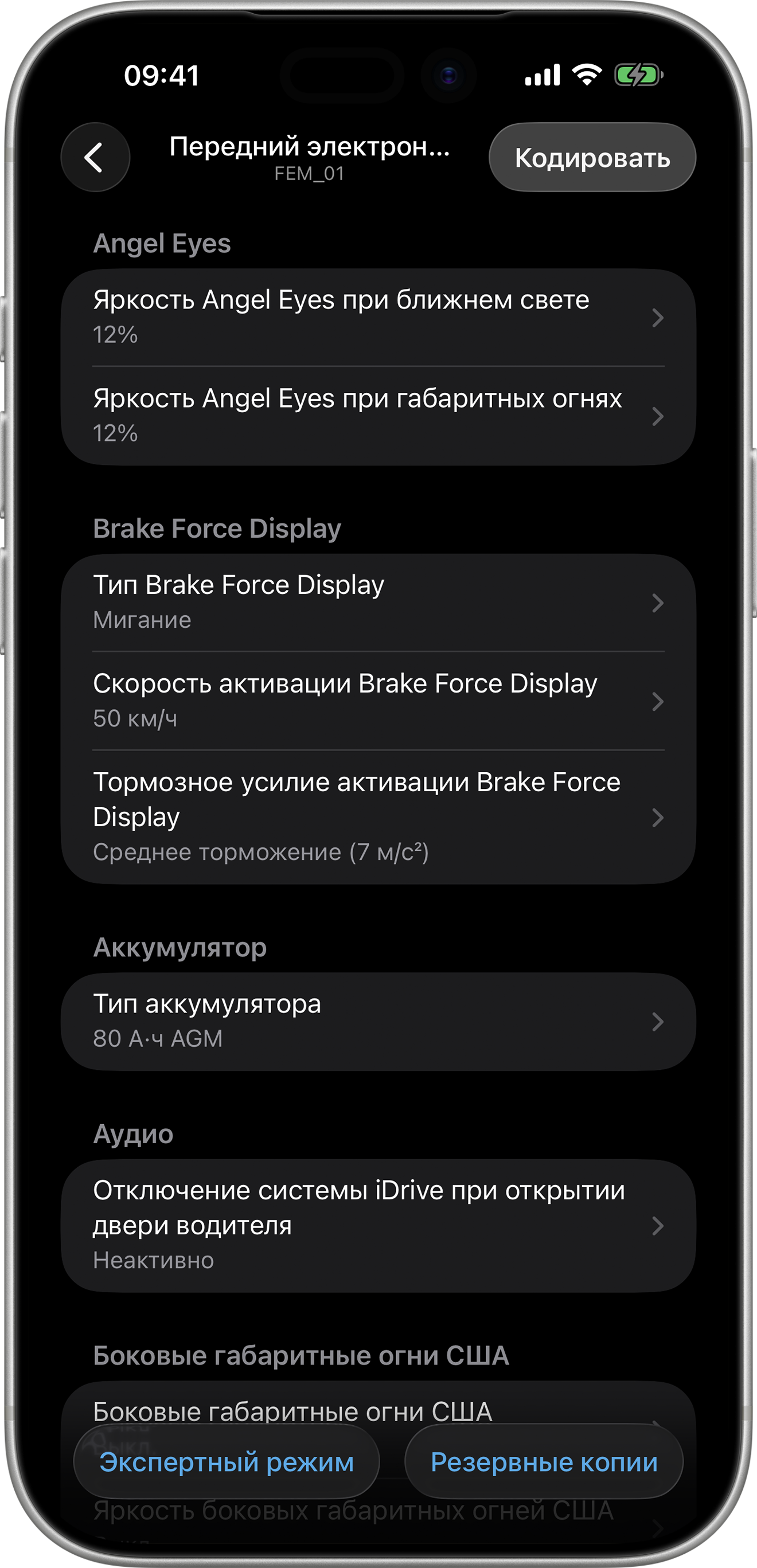 BimmerCode Screenshot Front Electronic Module Screen