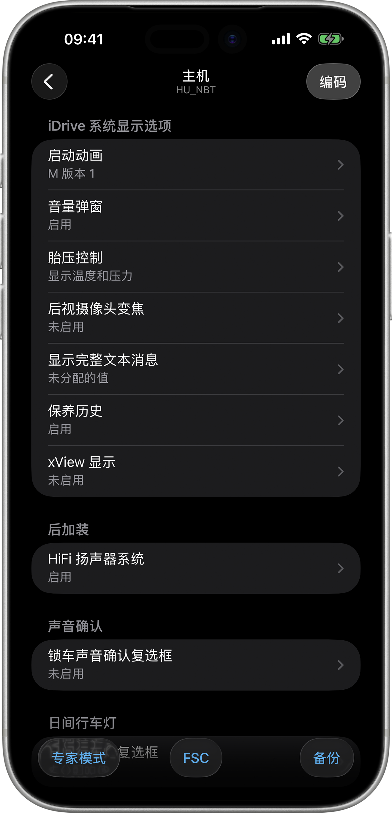 BimmerCode Screenshot Head Unit Screen