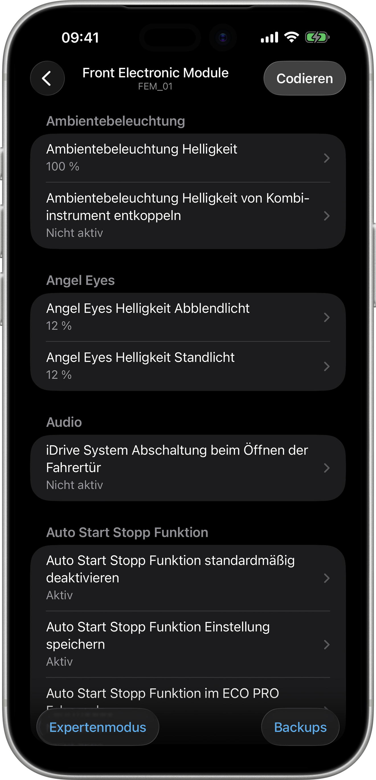 BimmerCode Screenshot Front Electronic Module Screen