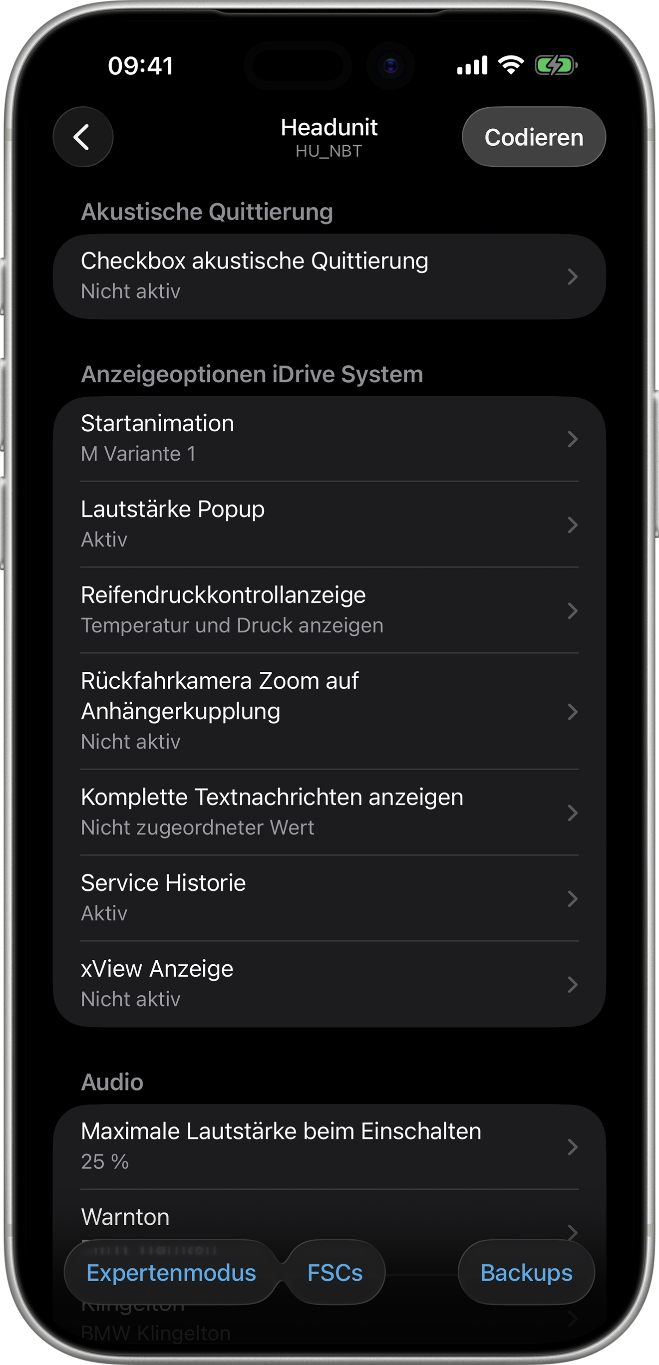 BimmerCode Screenshot Head Unit Screen