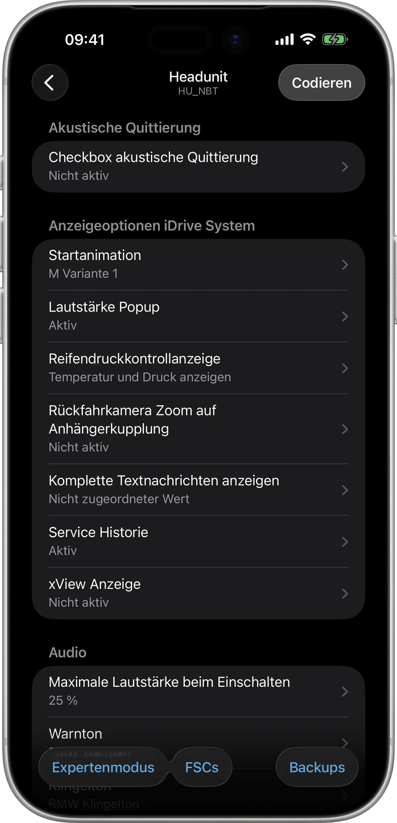 BimmerCode-Codierungsoptionen für die Headunit (HU) auf dem iPhone