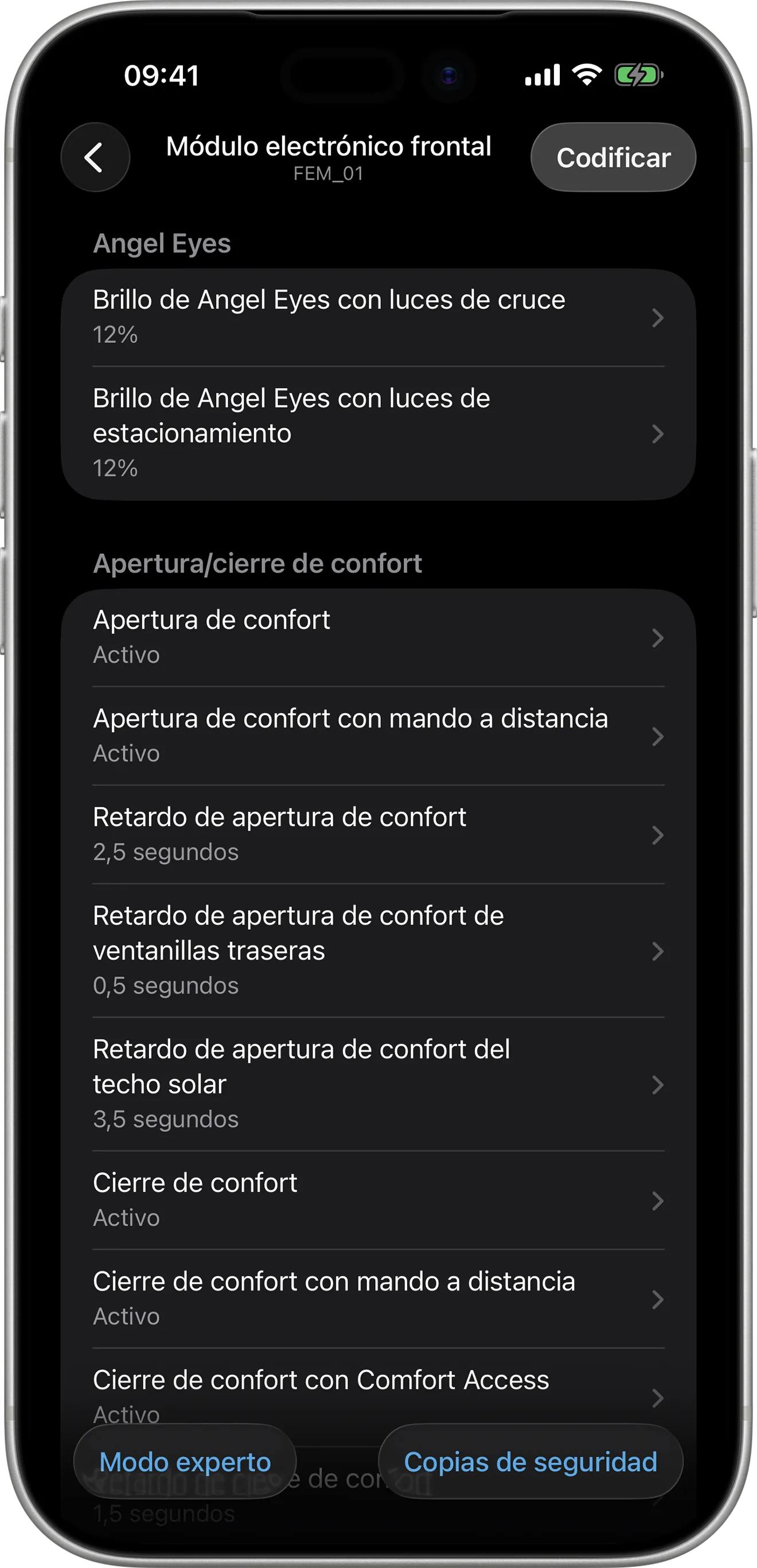 Opciones de codificación del módulo electrónico frontal (FEM) en BimmerCode en el iPhone