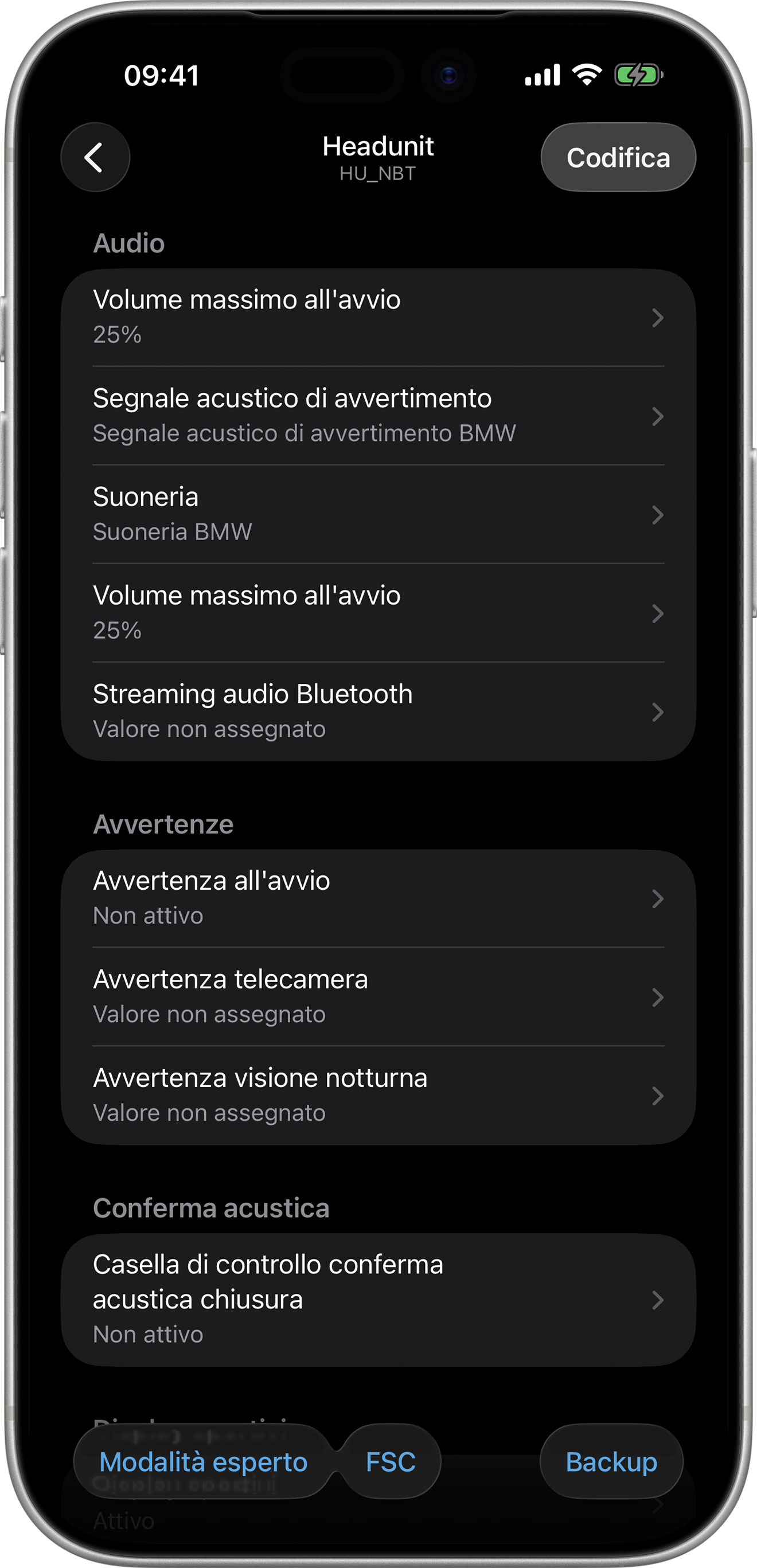 BimmerCode Screenshot Head Unit Screen