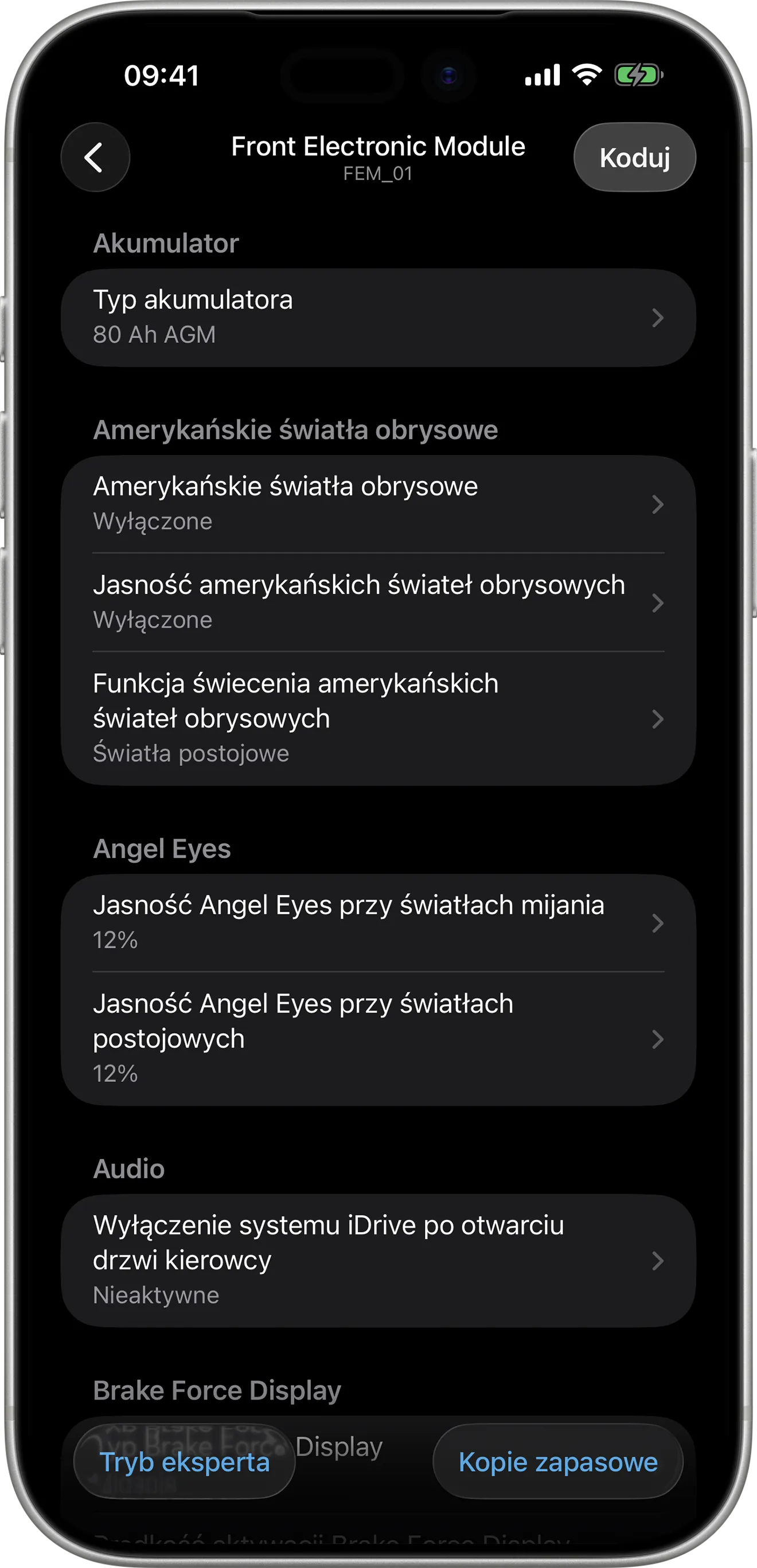 Opcje kodowania przedniego modułu elektronicznego (FEM) w aplikacji BimmerCode na iPhonie