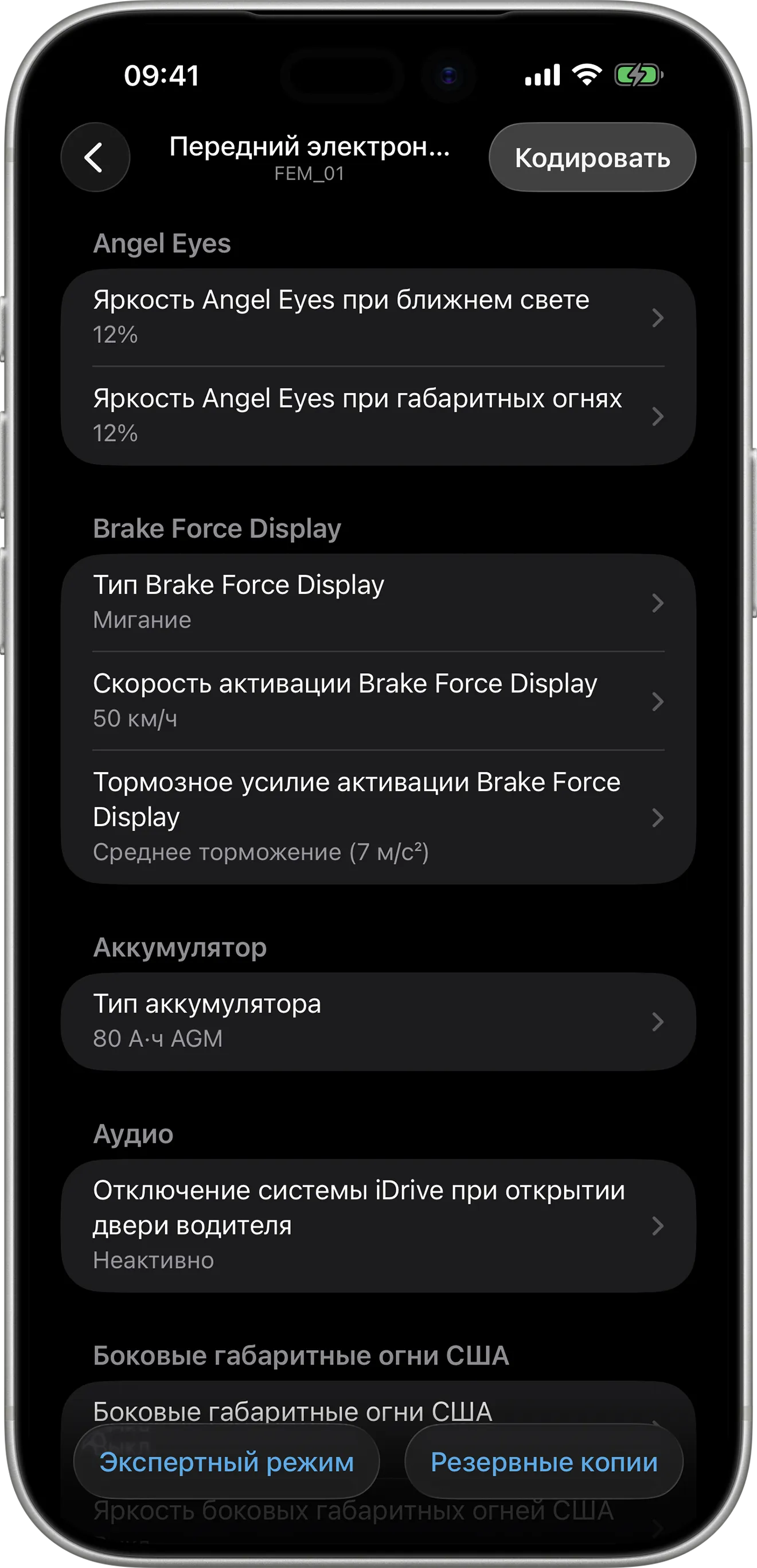 Параметры кодирования переднего электронного модуля (FEM) в BimmerCode на iPhone