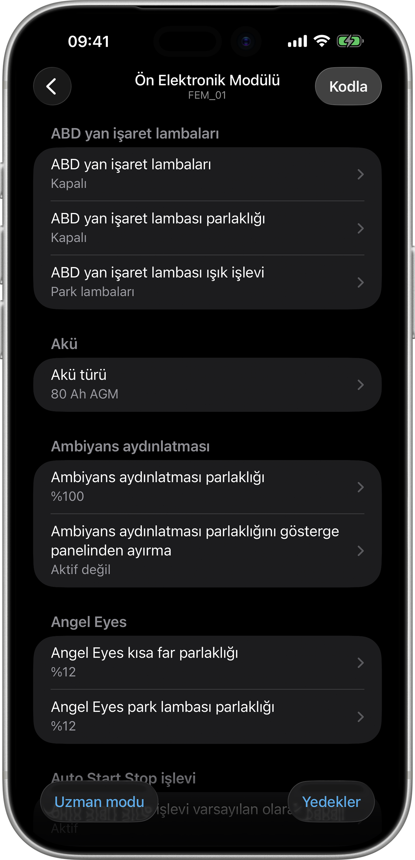 BimmerCode Screenshot Front Electronic Module Screen