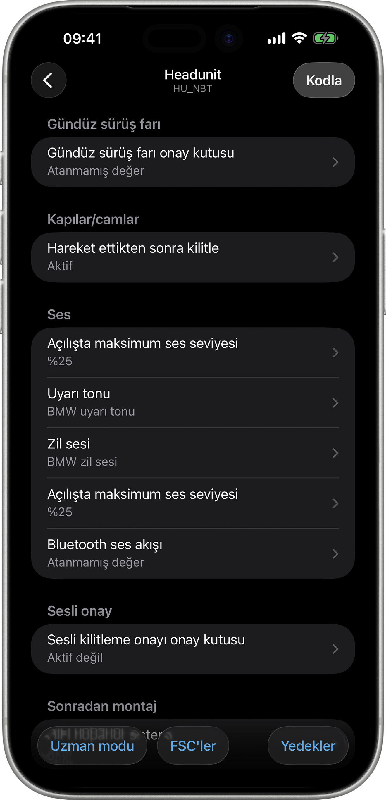 BimmerCode Screenshot Head Unit Screen